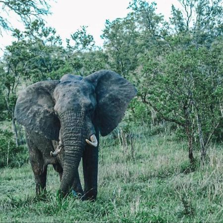 Honeyguide Tented Safari Camps - Mantobeni заповідник Маньєлеті Екстер'єр фото